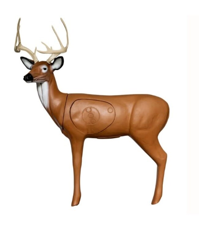 Big Shot Pro Hunter Double Duty Buck 3D Target