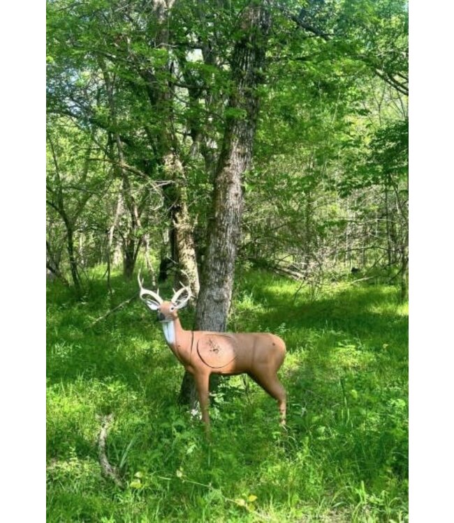 Big Shot Pro Hunter Double Duty Buck 3D Target