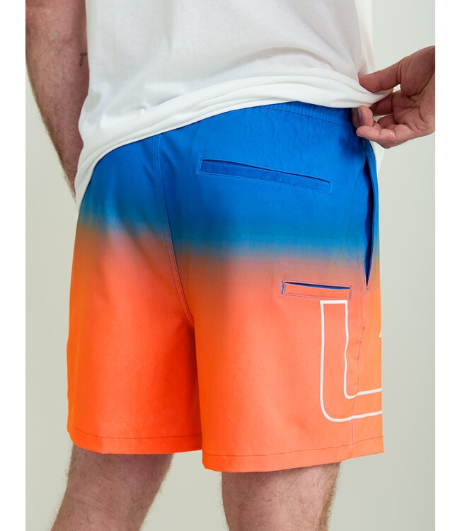 Pursuit Graphic Volley Shorts White
