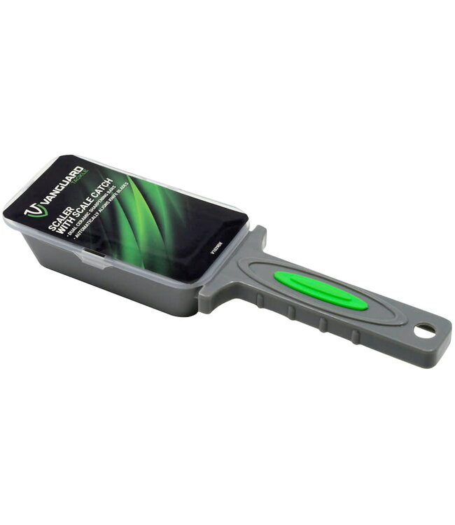 SCALER WITH SCALE CATCH