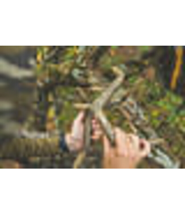 Flextone Battle Bones