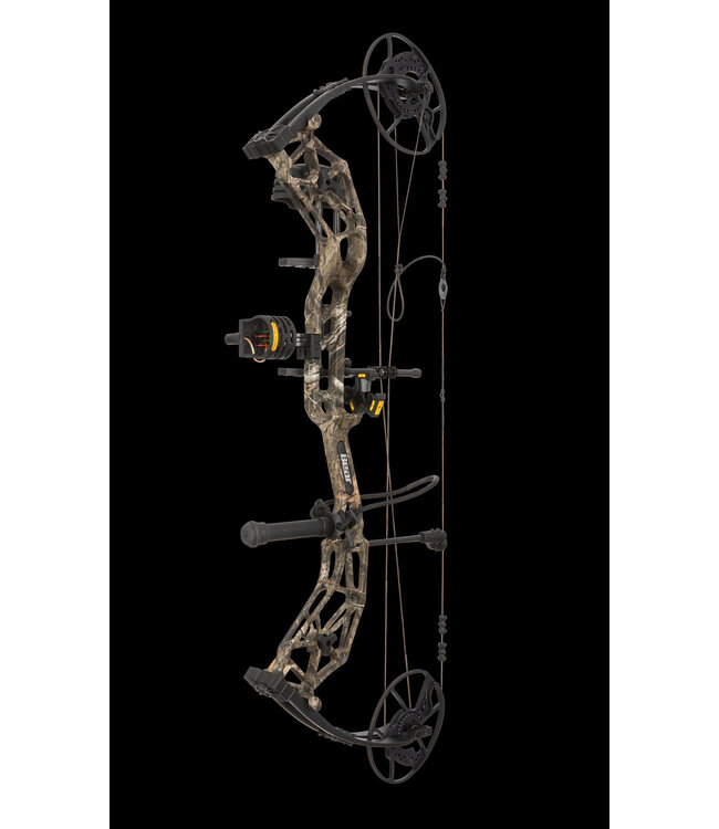 Bear Bear Paradigm RTH