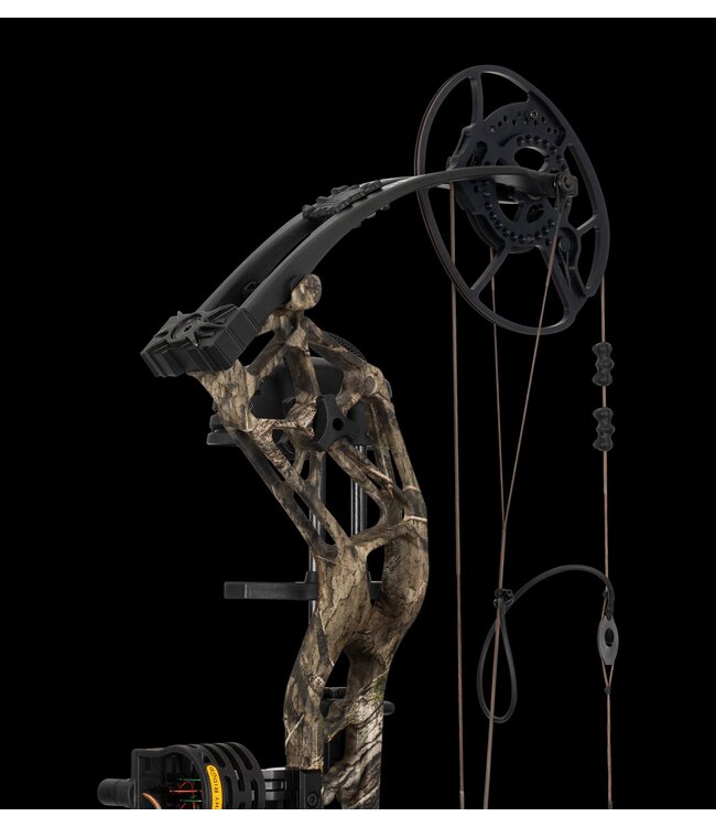 Bear Bear Paradigm RTH