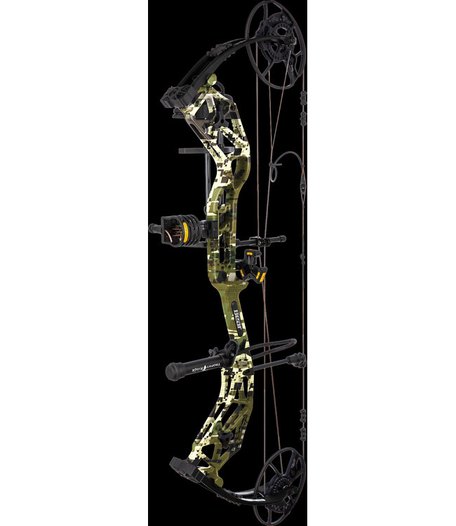 Bear Bear Paradigm RTH