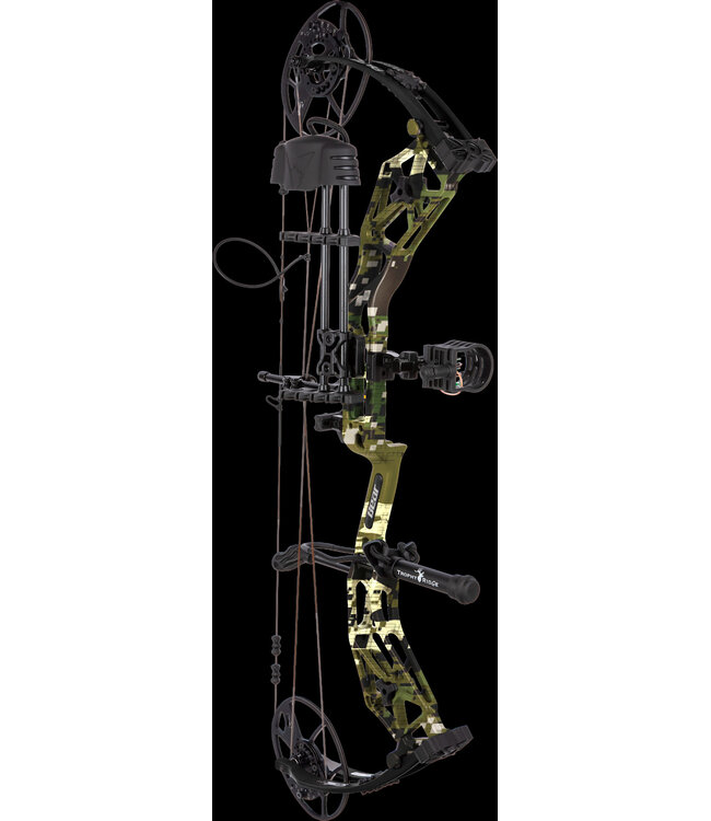 Bear Bear Paradigm RTH