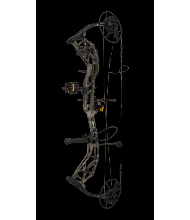 Bear Bear Paradigm RTH