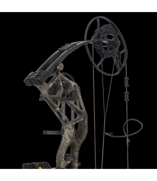 Bear Bear Paradigm RTH