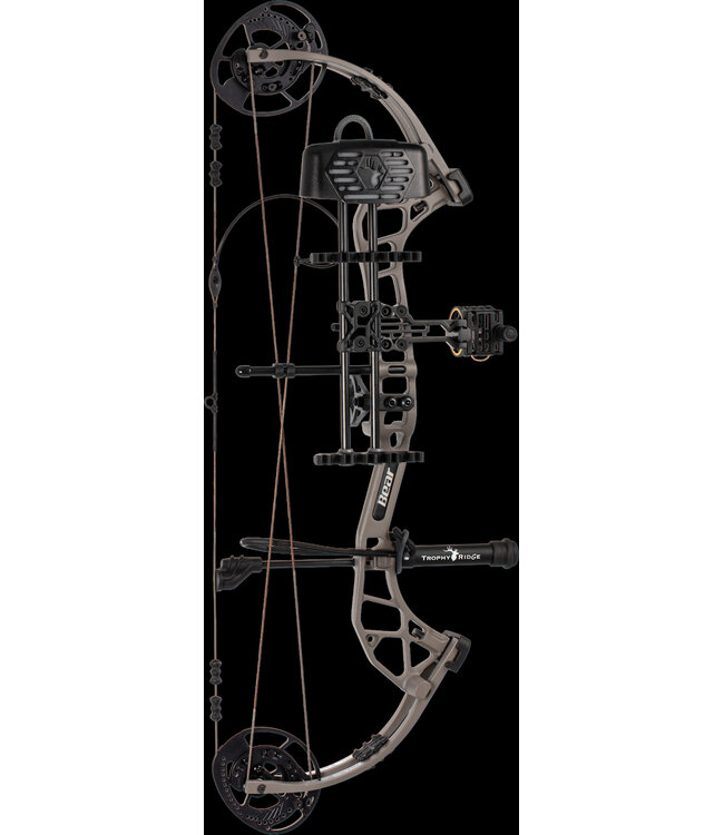 Bear Bear Archery Pristine RTH RH 50lbs Stone