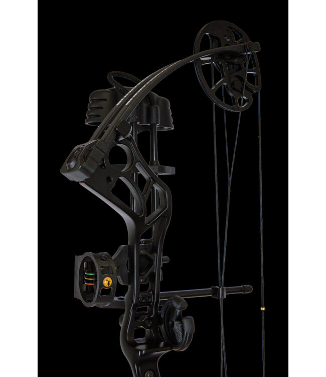 Bear Bear Archery Shootout RTH RH 50lbs Black