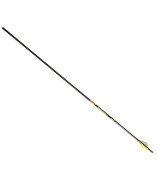 Hunter XT 300 Arrow w/2″ Raptor Vanes 6pk