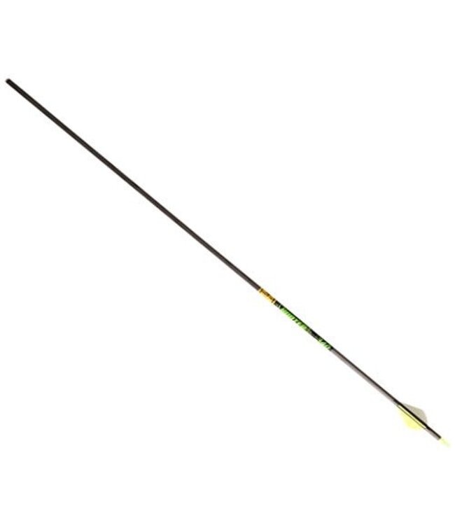2026 Gold Tip Hunter XT 300 Arrow w/2″ Raptor Vanes 6pk