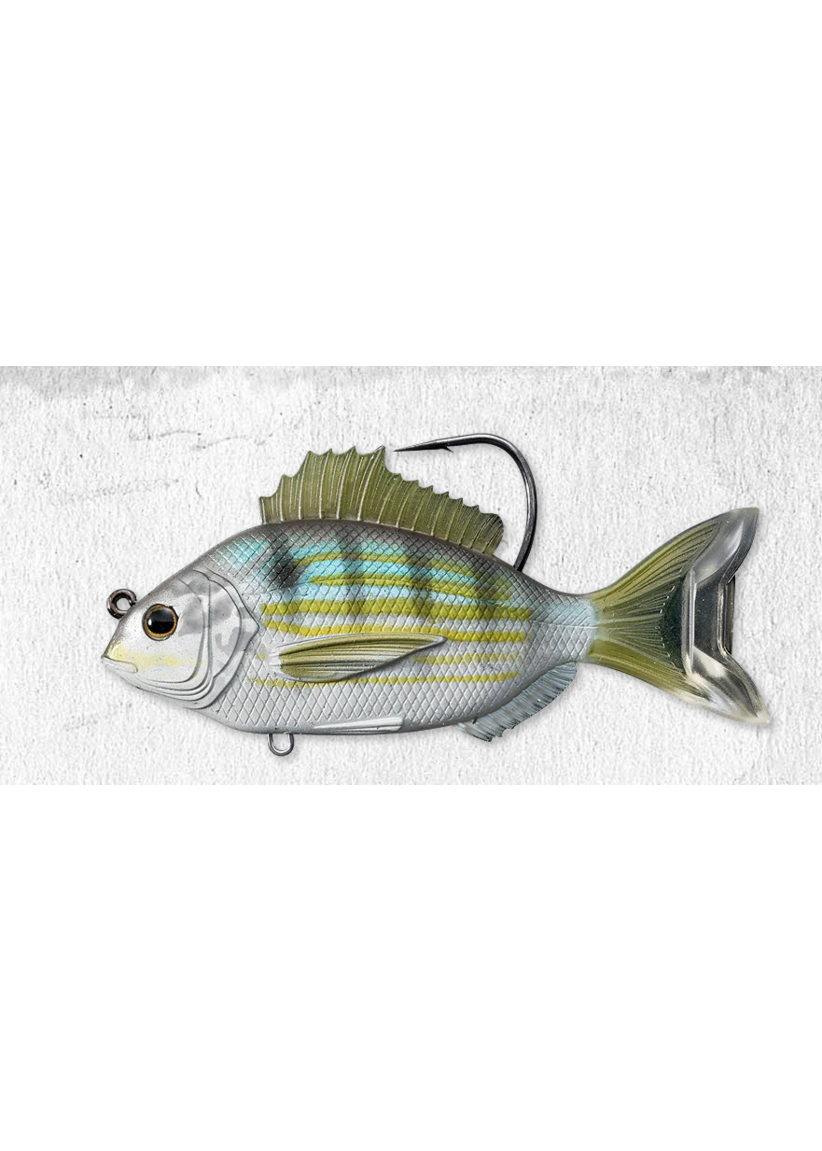 Live Target Pinfish Swimbait - 3.5" Silver / Green