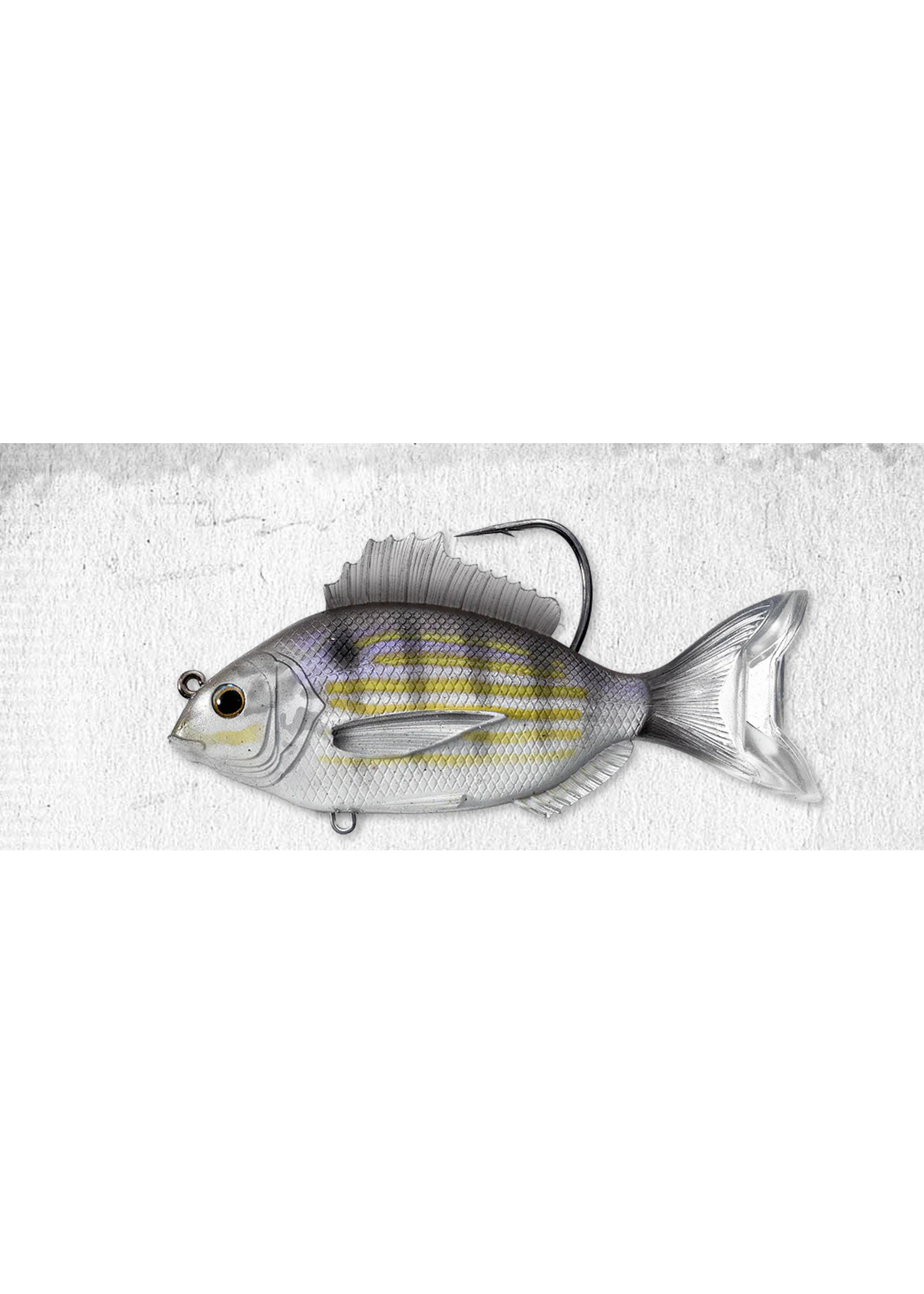 Live Target Pinfish Swimbait - 3.5" Silver / Violet