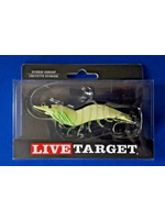 Live Target Hybrid Shrimp - Glow