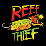 Reef Thief Jigs