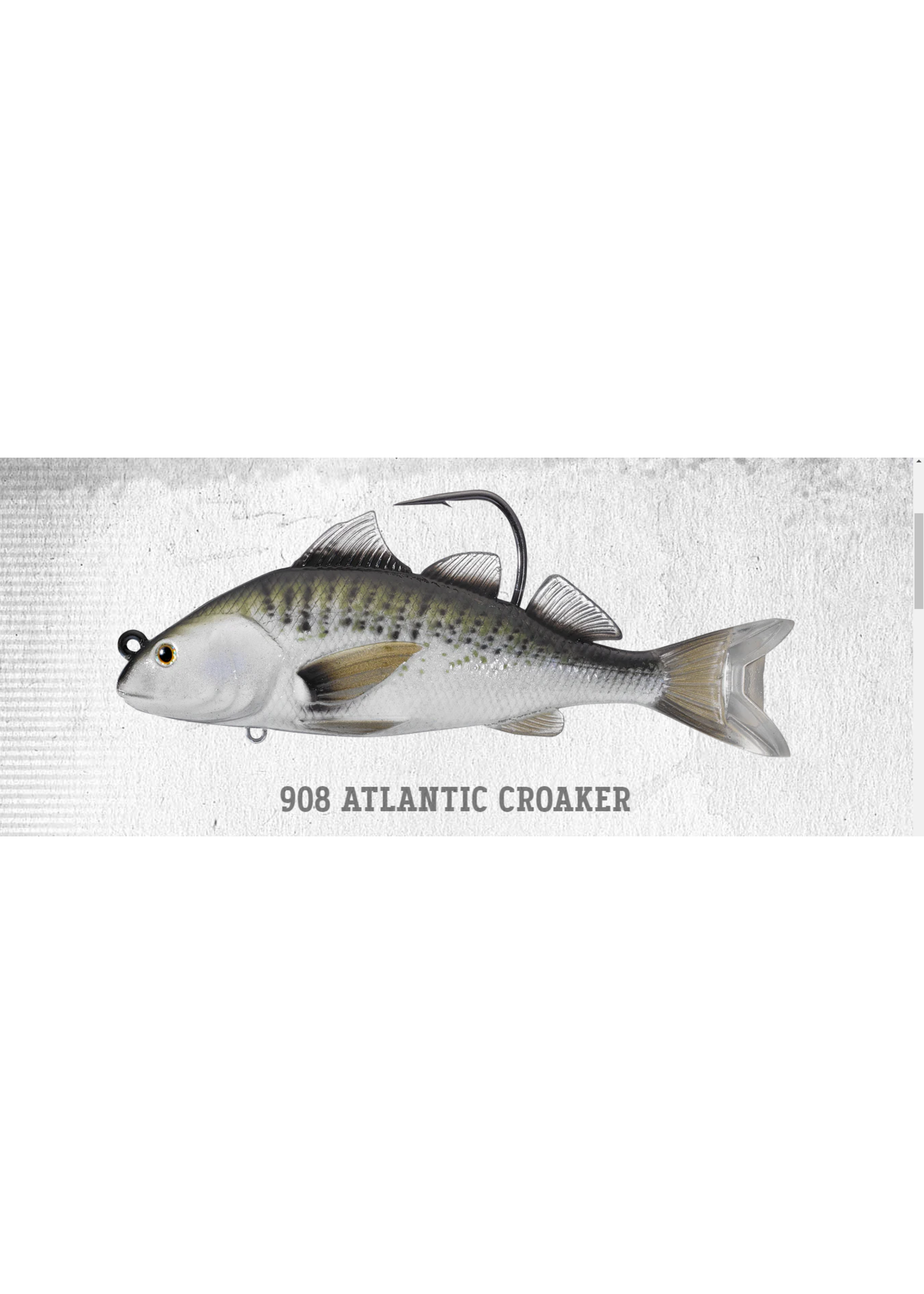 https://cdn.shoplightspeed.com/shops/641096/files/54021895/1652x2313x2/live-target-croaker-5-atlantic.jpg