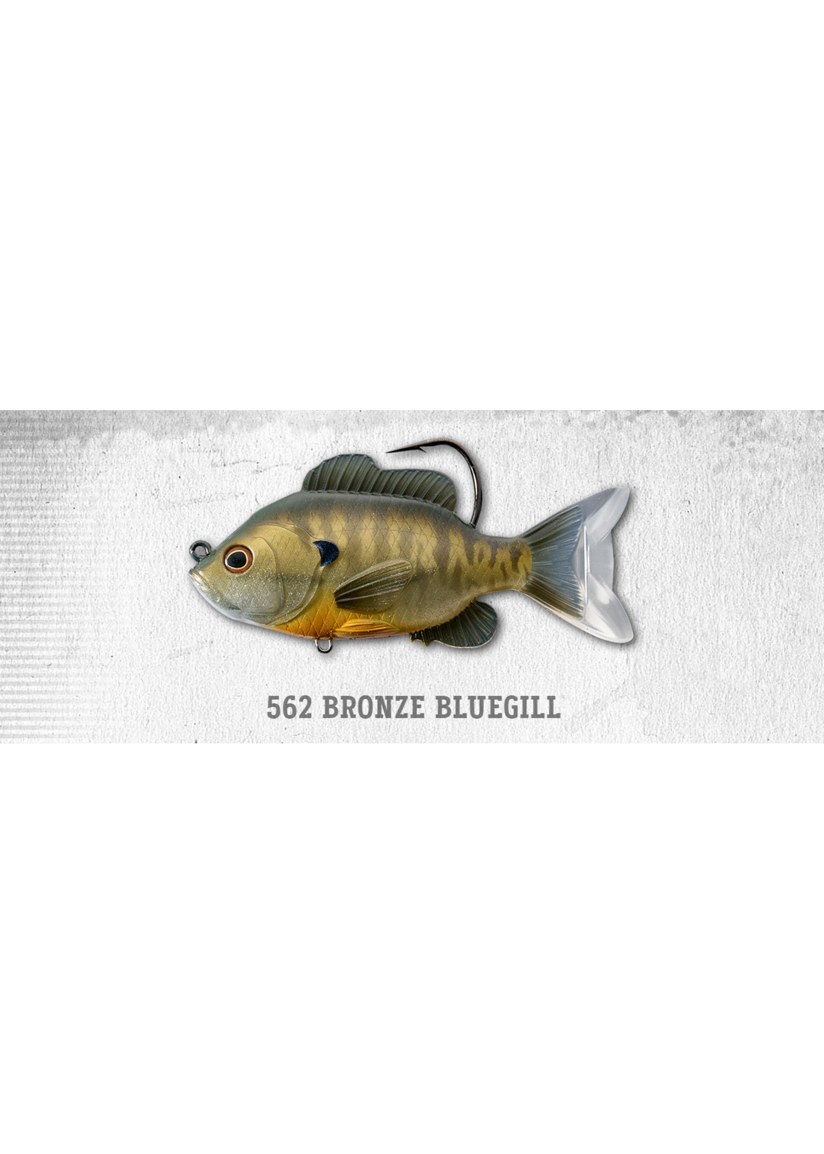 Live Target Sunfish 4 3/8 - Bronze Bluegill - Brothers Outdoors LLC