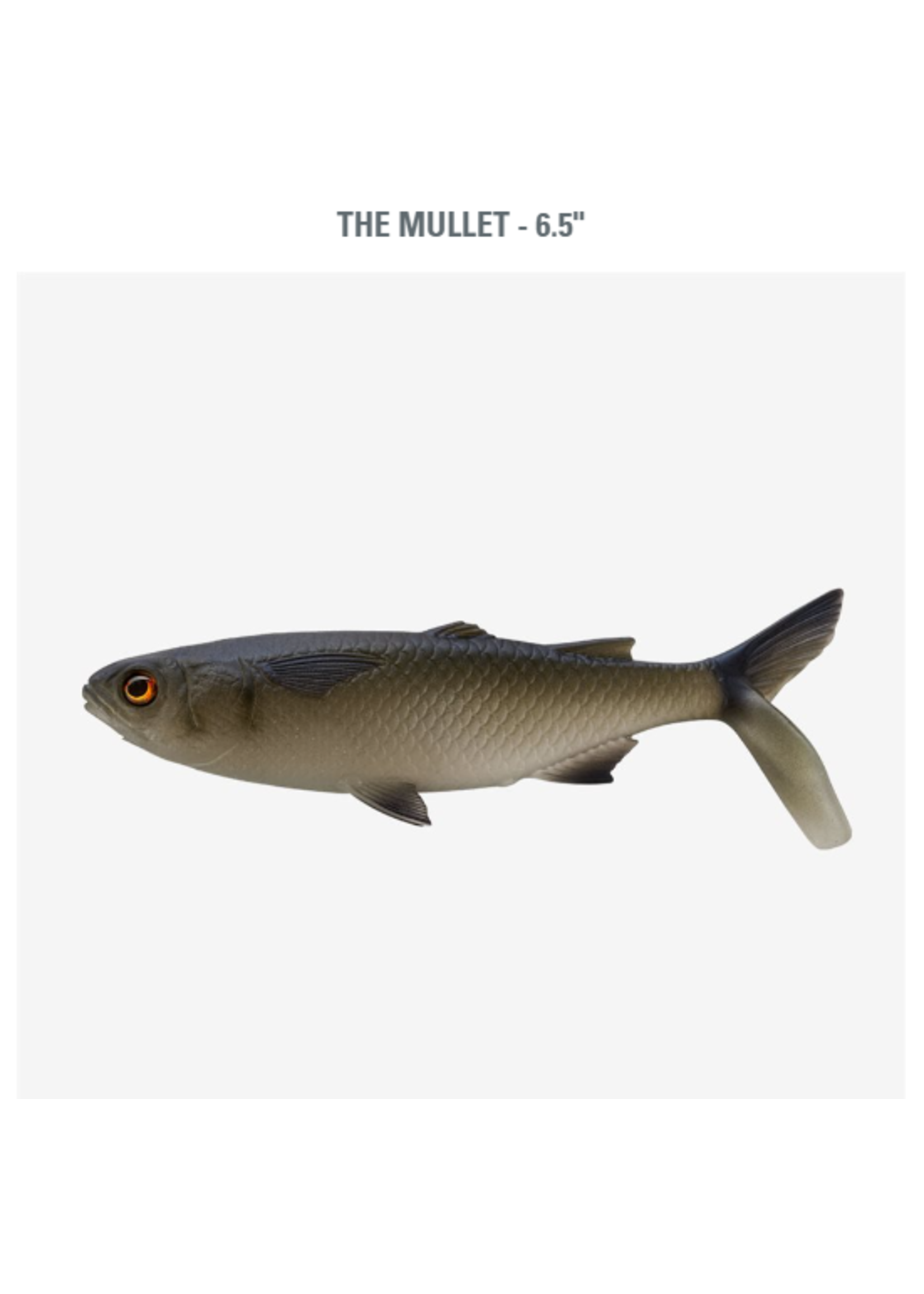 13 Fishing The Mullet - 6.5" - Dark