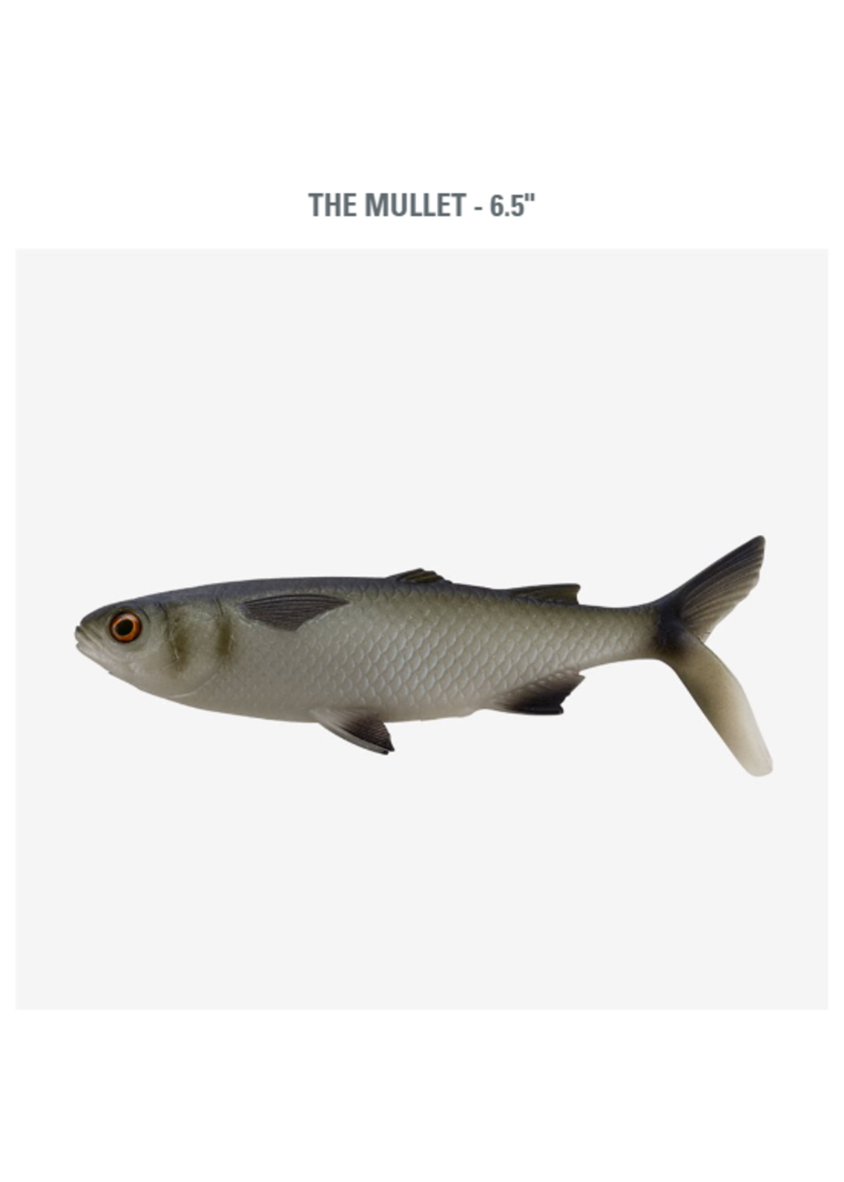 13 Fishing The Mullet - 6.5" - Natural