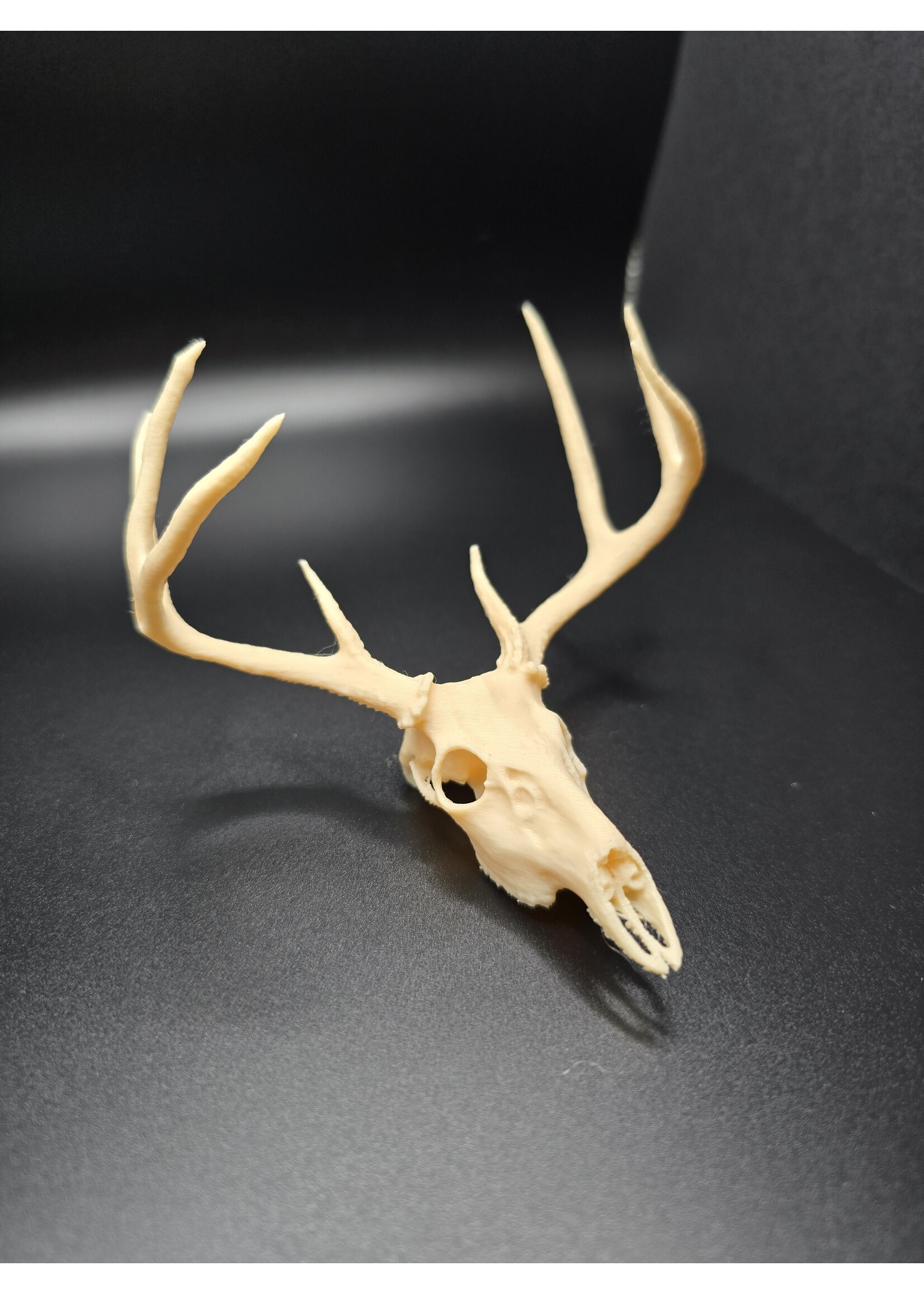 Brothers Outdoors Deer Skull 4" - 3D