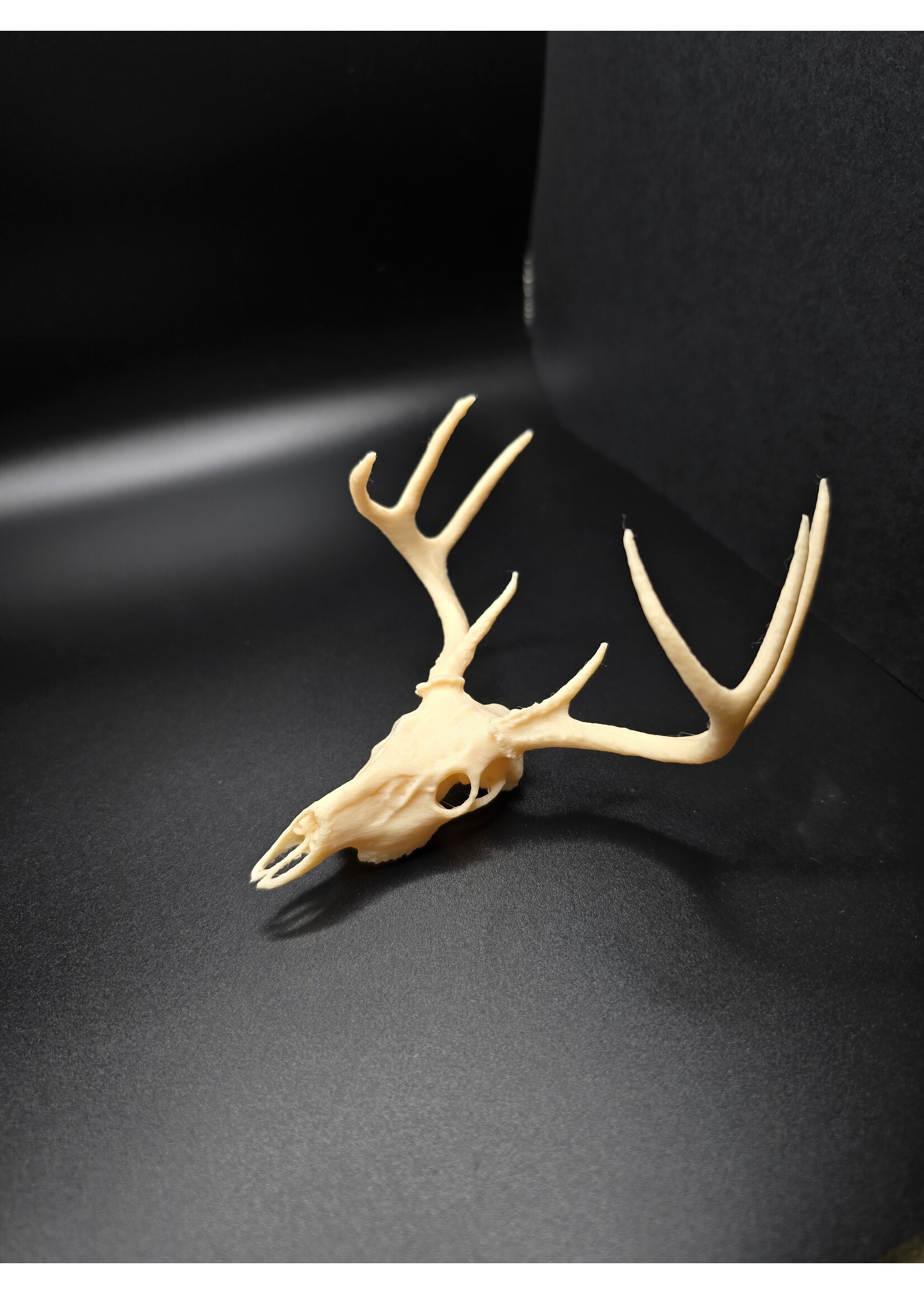 Brothers Outdoors Deer Skull 4" - 3D