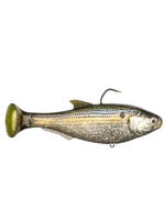 Z-Man Shadtron LT Fast Sink, 6'' Threadfin Shad