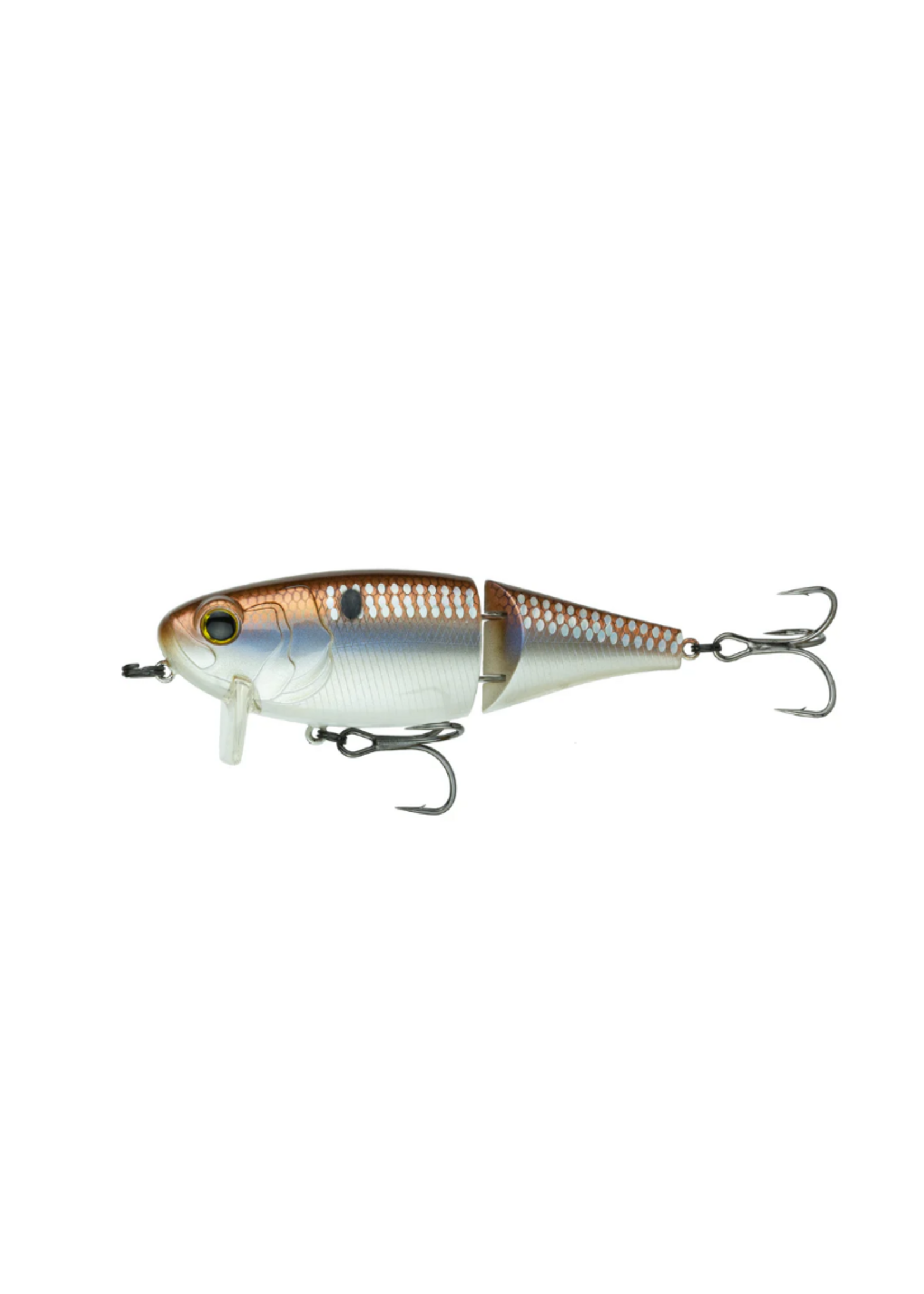 6th Sense  Speed Wake 100 - 4K Gizzard