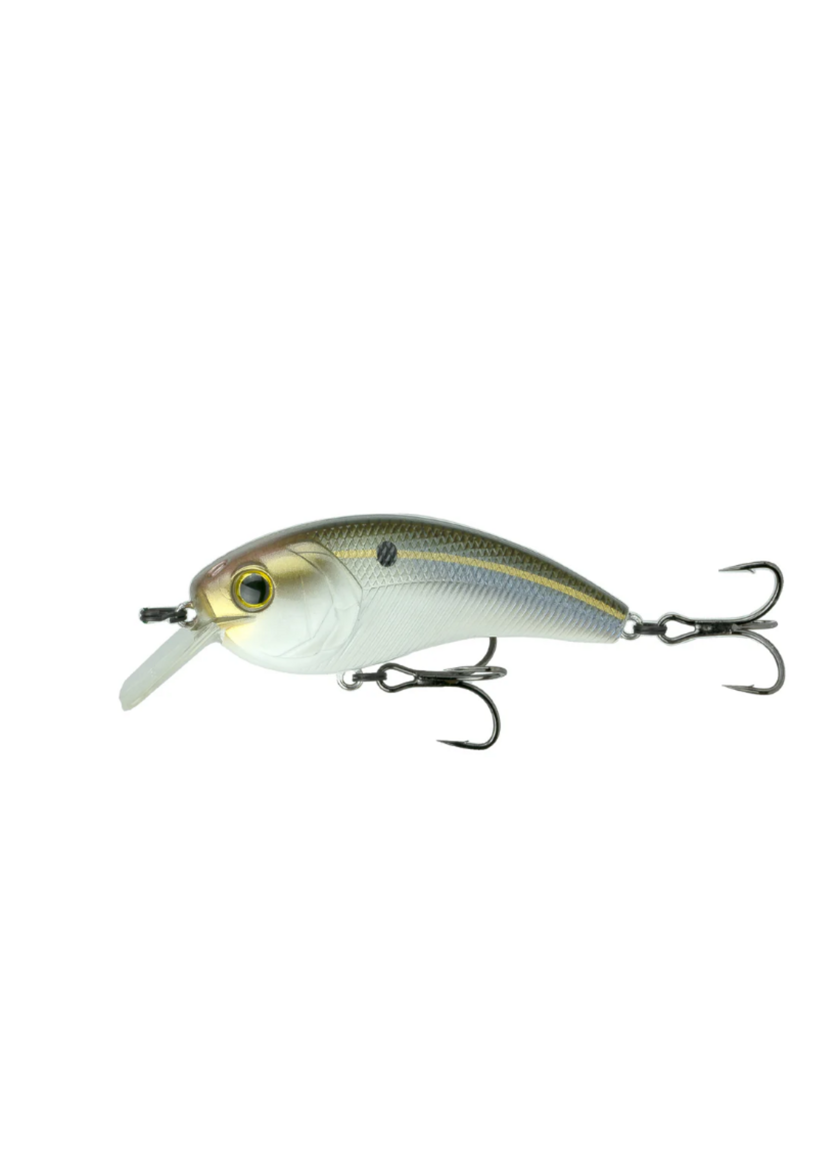 6th Sense Movement L7 - Threadfin Shad