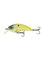 6th Sense Movement L7 - Bone Reactor