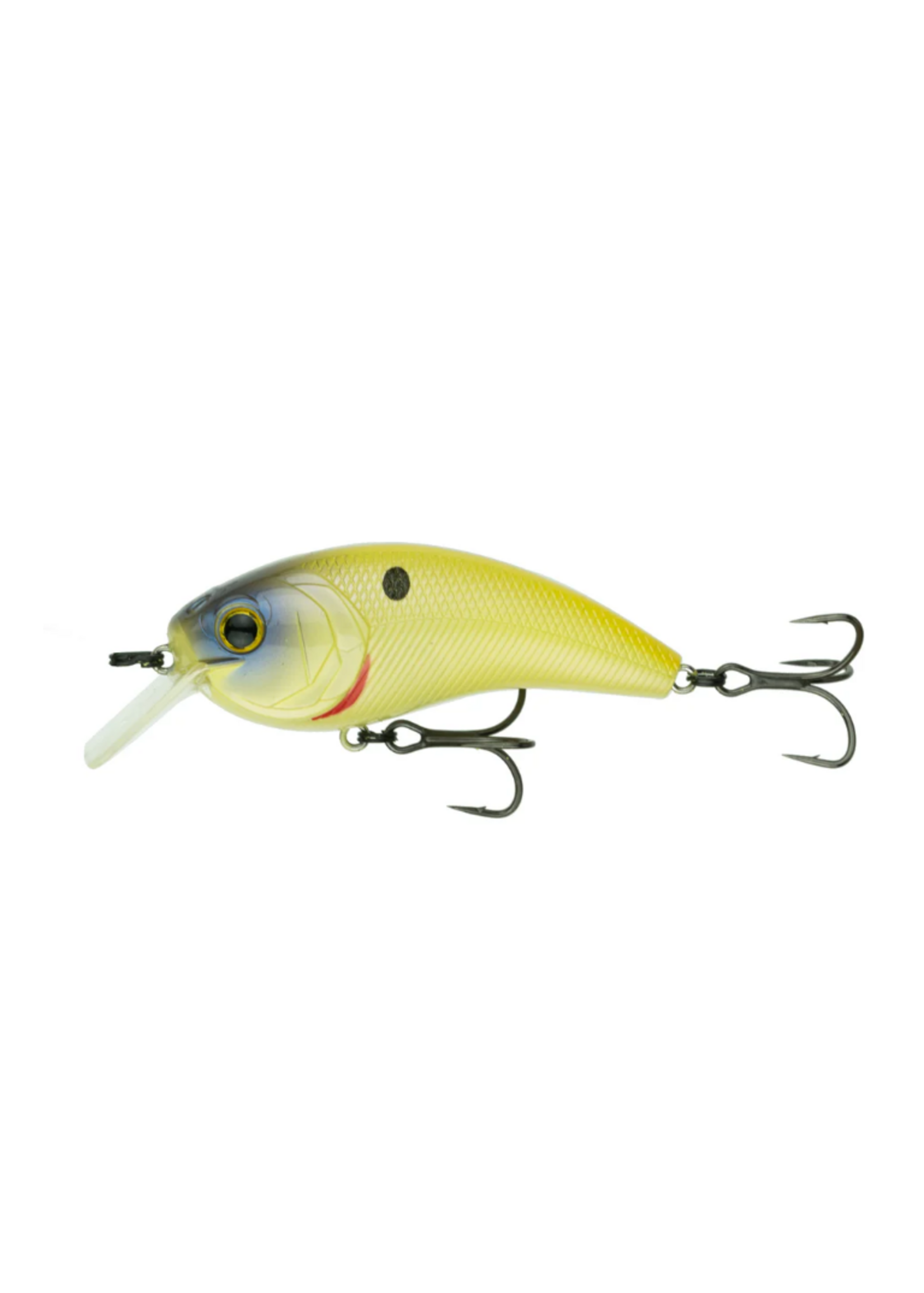 6th Sense Movement L7 - Bone Reactor