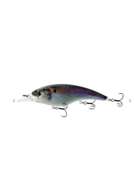 6th Sense Pump 125 Shallow - Live Gizzard Flash