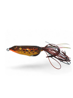 Gambler Walking Frog Yellow Belly