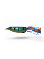 Gambler Walking Frog Sunfish