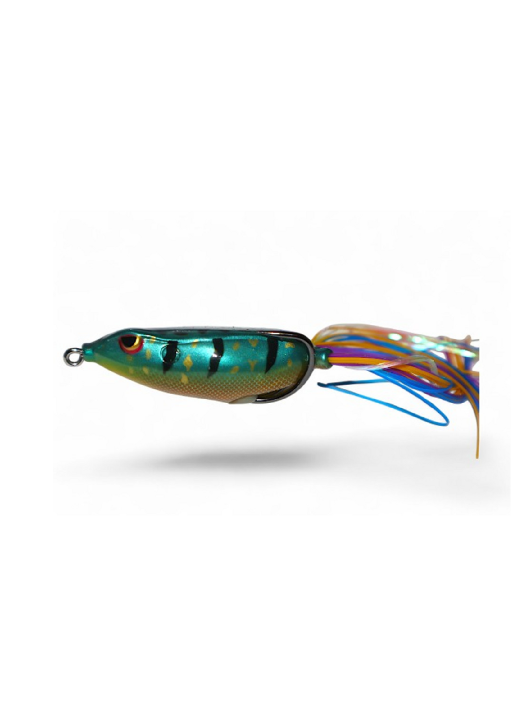 Gambler Walking Frog Sunfish