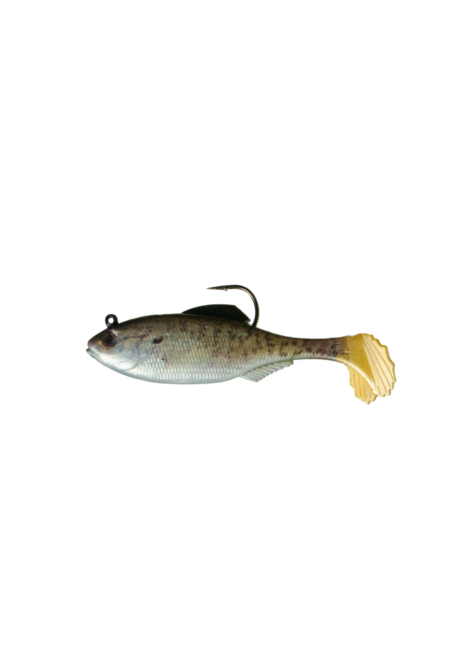 6th Sense Rigged Panorama 3.5" - Live Baby Crappie