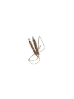 Bear Archery Silent Shot Recurve String - 62 AMO
