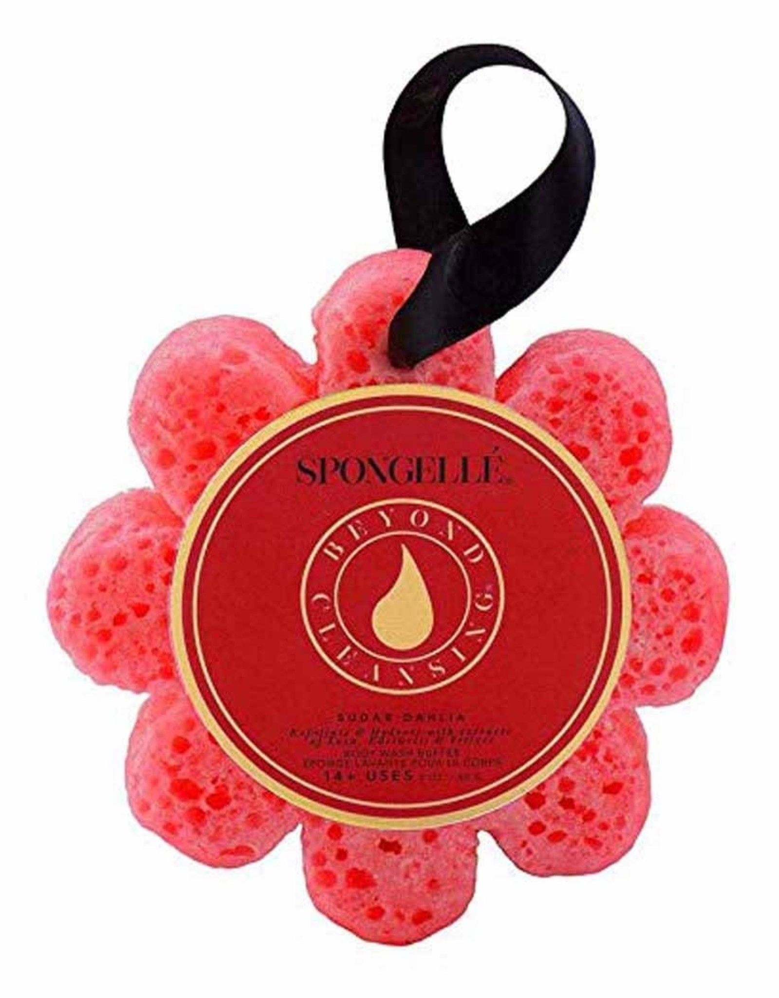 Spongelle Spongelle' Sugar Dahlia