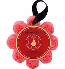 - Spongelle' Sugar Dahlia