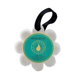 - Spongelle’ Beach Grass