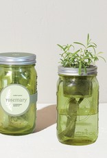 Rosemary Hydroponic Grow Kit Herb Jar