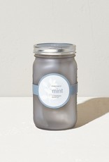 Mint Hydroponic Grow Kit Herb Jar