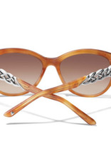 Brighton Amber Interlok Braid Sunglasses