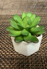 Hexagon Ceramic White Succulent