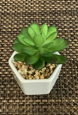 Hexagon Ceramic White Succulent