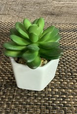 Hexagon Ceramic White Succulent