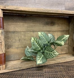 Small Wood Tray/Crate Decor