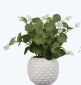 - White Ceramic Planter w/Succulent