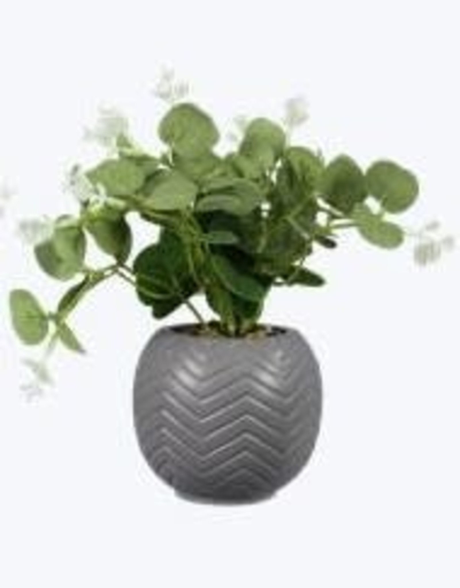 - Grey Ceramic Planter w/Succulent