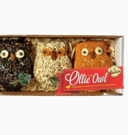 Ollie The Owl Shaped Bird Seed