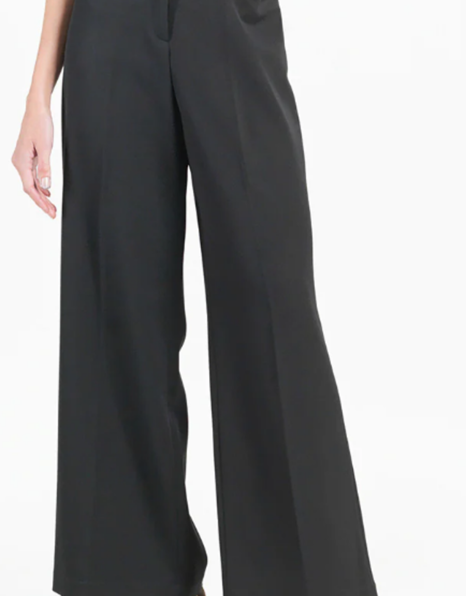 Clara Sun Woo Clara Sun Woo Black  Zip Front Wide Leg  4 Pocket Pant CS